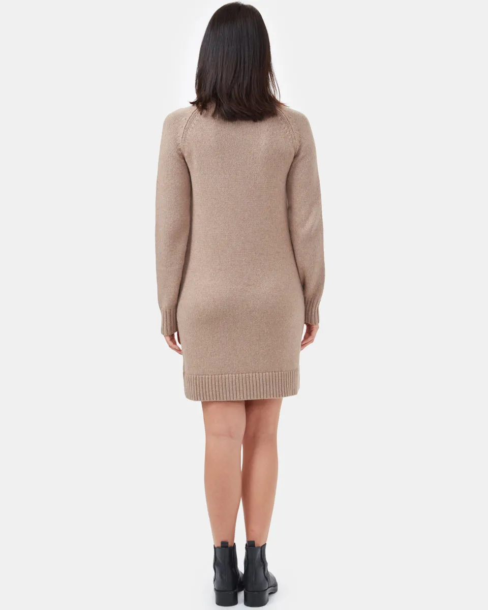 Highline Turtleneck Dress