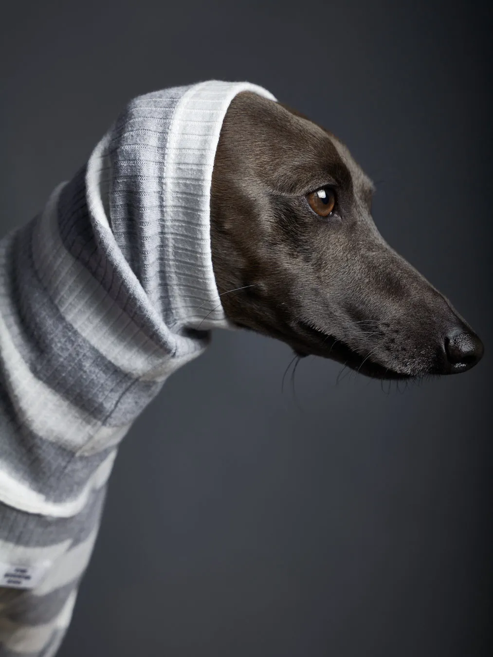 Italian Greyhound / Whippet Striped Turtleneck Sweater BREA