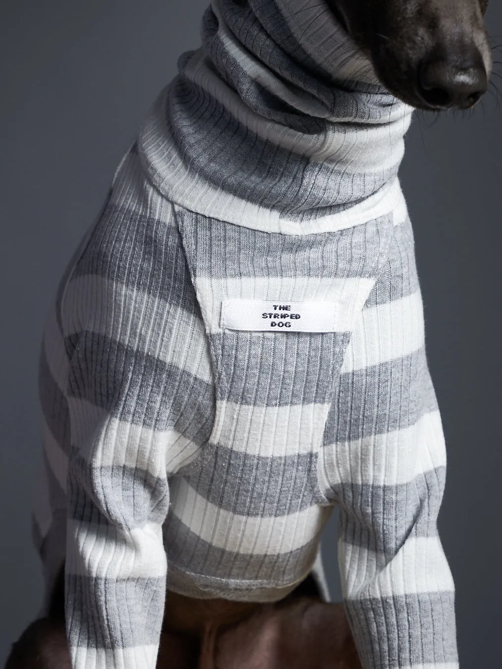 Italian Greyhound / Whippet Striped Turtleneck Sweater BREA