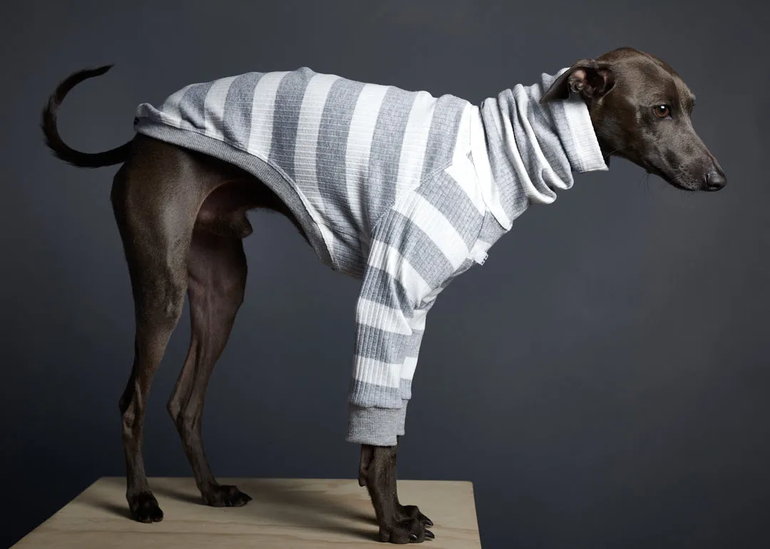 Italian Greyhound / Whippet Striped Turtleneck Sweater BREA