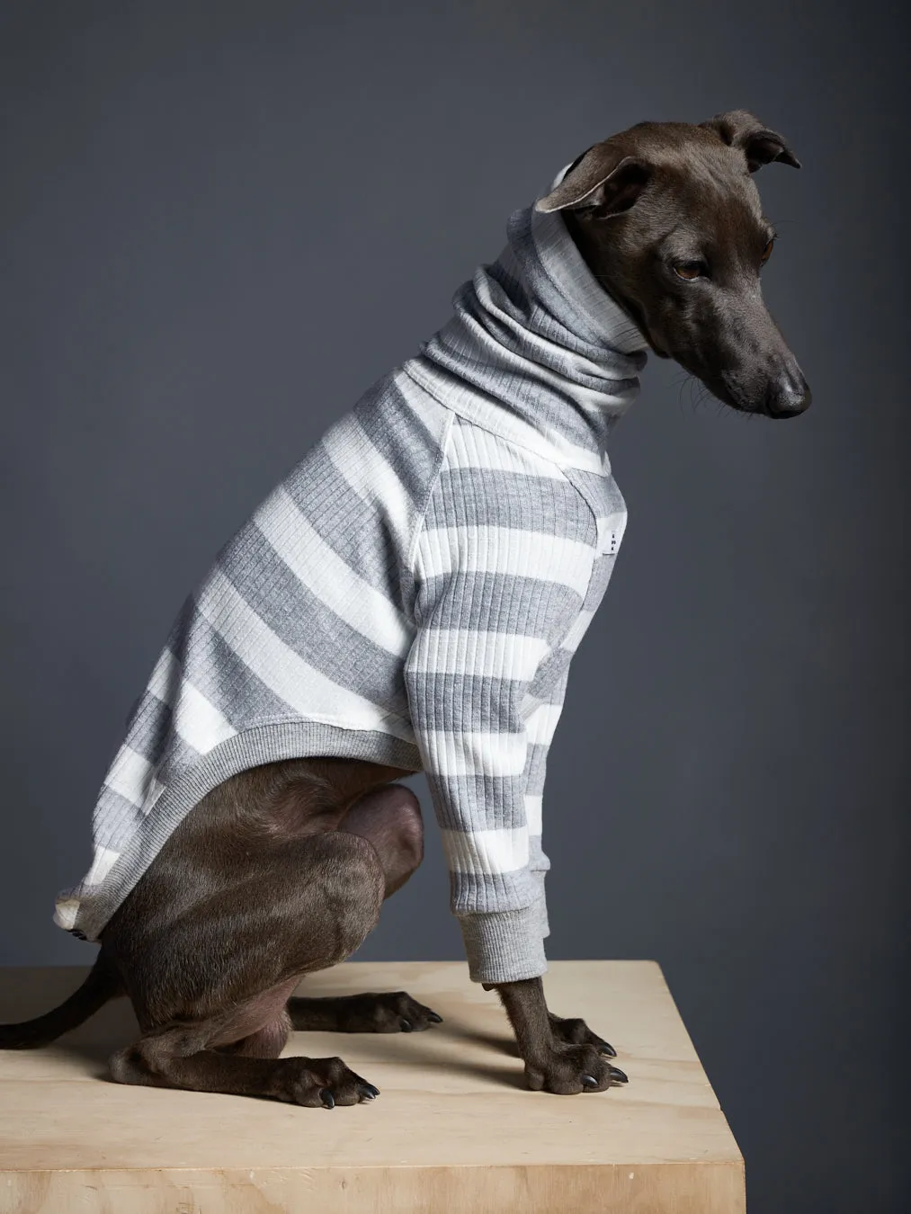 Italian Greyhound / Whippet Striped Turtleneck Sweater BREA