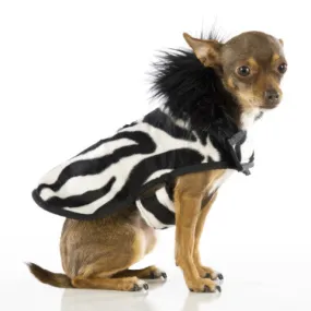 Soft Faux Zebra Fur Posh Puppy Coat